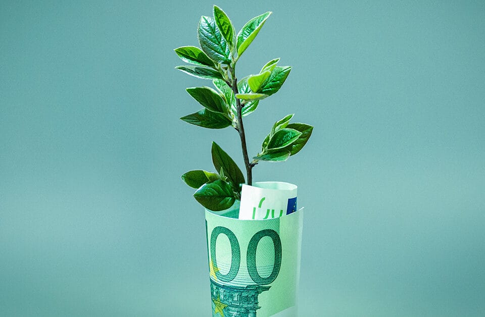 inovacao-e-crescimento Inovação e Crescimento: Multiplique os Benefícios com os Incentivos